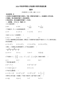 广西防城港市上思县2024—2025学年上学期七年级数学期中教学质量监测