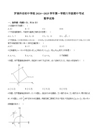 广东省深圳市罗湖外语初中学校2024-2025学年八年级上学期期中考试数学试题