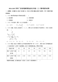 广东省河源市紫金县2024-2025学年九年级上学期期中数学试卷