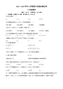 福建省三明市宁化县2024-2025学年八年级上学期期中考试数学试题(无答案)