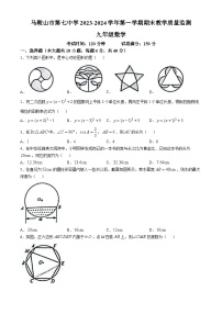 安徽省马鞍山市第七中2023—2024学年上学期九年级期末考试数学试卷(无答案)