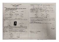 安徽省蚌埠市五河县八年级联考2024-2025学年八年级上学期11月期中数学试题