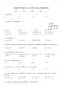山东省济宁市任城区2023-2024学年七年级(上)期末数学试卷(含解析)