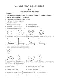 广西防城港市上思县2024—2025学年九年级(上)数学期中教学质量监测(含答案)