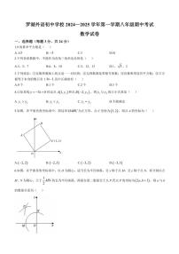 广东省深圳市罗湖外语初中学校2024～2025学年八年级(上)期中数学试卷(含详解)