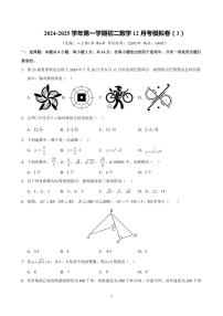 江苏省苏州市2024～2025学年八年级(上)数学12月考模拟卷(3)(含详解)