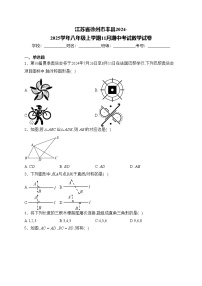 江苏省徐州市丰县2024-2025学年八年级上学期11月期中考试数学试卷(含答案)