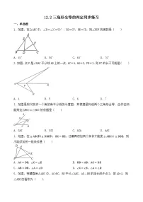 八年级上册12.2 三角形全等的判定课后测评