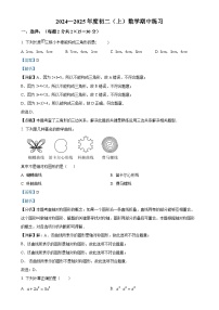 北京理工大学附属中学2024~2024学年上学期期中考试八年级数学试卷（解析版）-A4