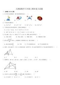 2024-2025学年八年级上学期数学期末复习试题 人教版