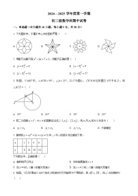 广东省广州市执信中学2024-2025 学年九年级上学期期中数学考试试卷（原卷版）-A4