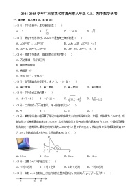 广东省茂名市高州市2024-2025学年八年级上学期期中数学试卷-A4