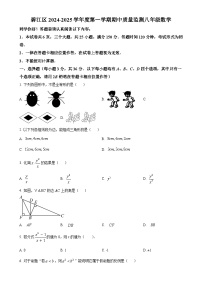 贵州省铜仁市碧江区2024-2025学年八年级上学期11月期中数学试题（原卷版）-A4