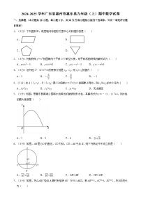 广东省惠州市惠东县2024-2025学年上学期九年级期中数学试题-A4