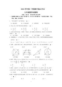 浙江省金华市金东区2024-2025学年九年级上学期期中考试数学试卷