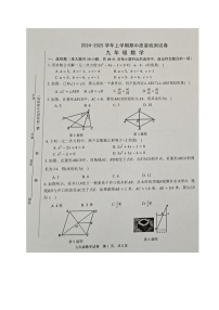 福建省三明市宁化县2024-2025学年九年级上学期期中考试数学试题