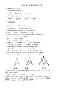 河南省漯河实验中学2024-2025学年上学期八年级期中数学试题