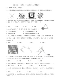 河南省漯河第二实验中学2024-2025学年八年级上学期期中考试数学试卷