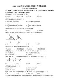 河北省衡水市桃城区2024-2025学年七年级上学期期中考试数学试卷