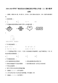 广东省茂名市茂南区部分学校2024-2025学年上学期九年级期中数学试卷