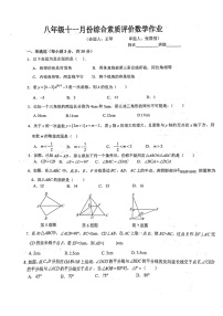安徽省舒城第二中学2024-2025学年八年级上学期11月期中考试数学试题