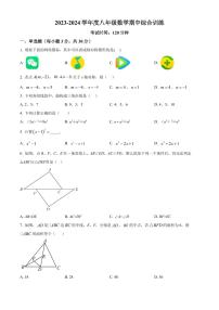 广州市实验外语学校2023-2024学年八年级上学期期中数学试题（原卷版+解析版）