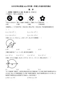 浙江省台州市和合联盟2024-2025学年九年级上学期期中数学试题(无答案)