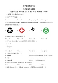 九年级上学期期末数学试题 (1)