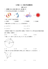 九年级上学期期末数学试题 (17)