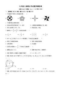 九年级上学期期末数学试题 (19)