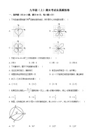 九年级上学期期末数学试题 (21)