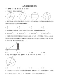 九年级上学期期末数学试题 (35)