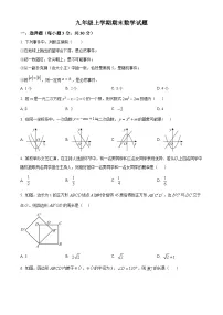 九年级上学期期末数学试题 (39)
