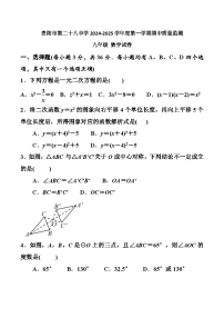 贵州省贵阳市云岩区第二十八中学2024-2025学年九年级上学期11月期中数学试题