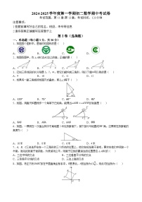 广东省湛江市雷州市第八中学2024-2025学年八年级上学期11月期中考试数学试题(无答案)