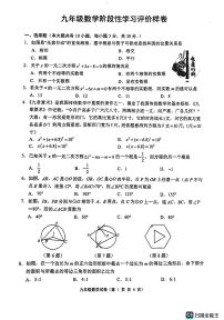 江苏省镇江市句容市崇明中学2024-2025学年九年级上学期期中考试数学试题