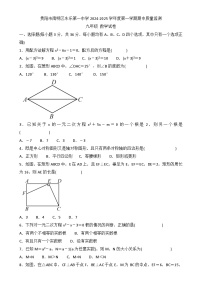 贵州省贵阳市南明区永乐第一中学2024-2025学年度九年级上学期期中质量监测数学试卷-A4