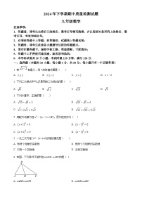 湖南省衡阳市蒸湘区联合考试2024-2025学年九年级上学期11月期中数学试题（原卷版）-A4