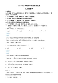 湖南省衡阳市蒸湘区联合考试2024-2025学年九年级上学期11月期中数学试题（解析版）-A4