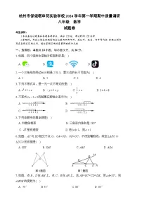 浙江省杭州市保俶塔申花实验学校2024-2025学年八年级上学期期中考试数学试卷