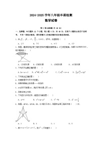 四川省眉山市仁寿县眉山天府新区2024-2025学年八年级上学期11月期中数学试题