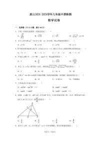 四川省眉山市仁寿县眉山天府新区 2024-2025学年九年级上学期11月期中数学试题