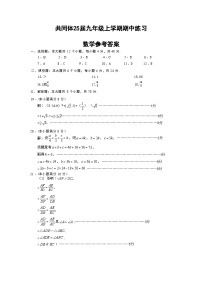 四川省眉山市东坡区东坡中学共同体练习2024-2025学年上学期11月期中九年级数学试题