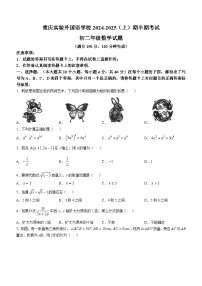 重庆市实验外国语学校2024-2025学年八年级上学期期中考试数学试卷(无答案)