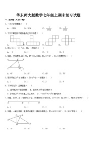 2024-2025学年七年级上学期华东师大版数学期末复习试题