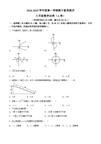 广东省茂名市高州市四校联考2024-2025学年八年级上学期11月期中数学试题(无答案)
