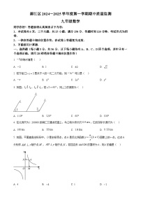 贵州省铜仁市碧江区2024-2025学年九年级上学期11月期中考试数学试题（原卷版）-A4