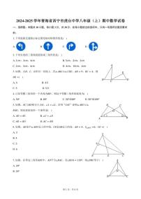 2024～2025学年青海省西宁市虎台中学八年级(上)期中数学试卷(含答案)