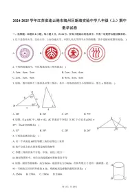 2024～2025学年江苏省连云港市海州区新海实验中学八年级(上)期中数学试卷(含答案)