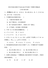 贵州省贵阳市花溪区燕楼中学2024-2025学年九年级上学期11月期中考试数学试题